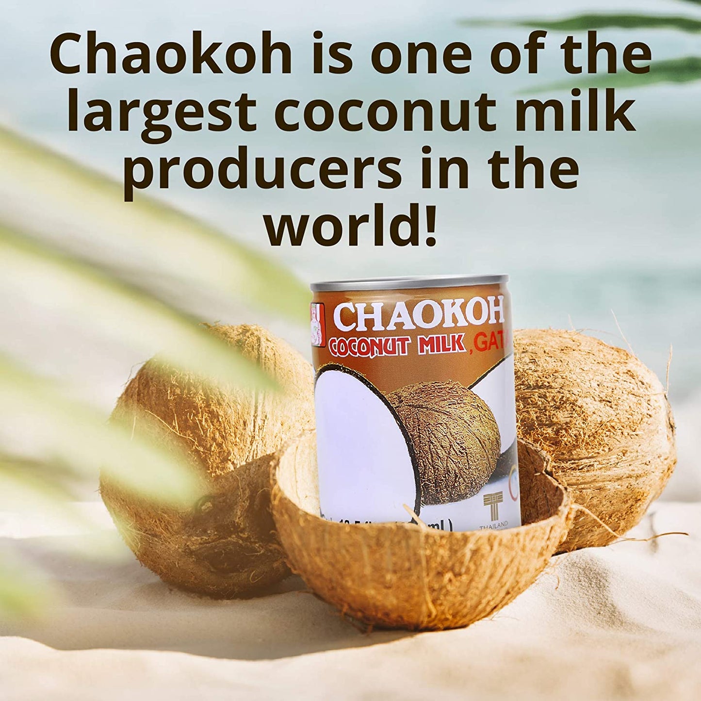Chaokoh Coconut Milk Unsweetened 6 Pack - Premium, Canned Coconut Milk, Lactose Free, Non Dairy Vegan Milk - for Curries, Drinks, Desserts, & More (13.5 oz per Can)