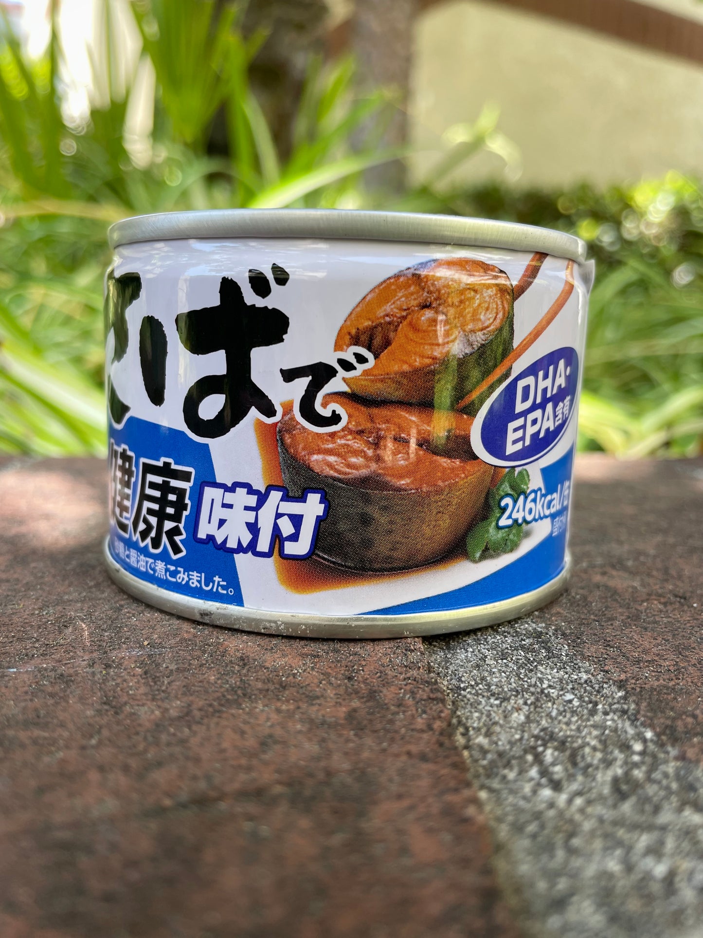 HAGOROMO Canned Mackerel Saba KenSeasoned Mackerel with Soy Sauce 5.64oz. ko Shoyu Aji - (160g)